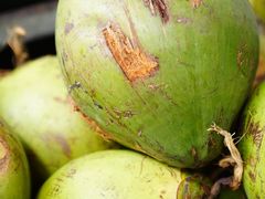 -东山羊庄(八卦岭店)