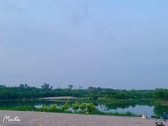 -东郊湿地公园