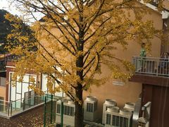 -重庆南山海昌汤都