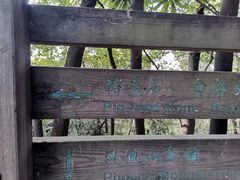 -火炉山森林公园
