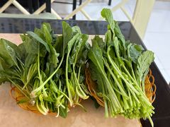 -蘑统田下·野生菌火锅