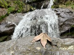 -藏龙百瀑风景区