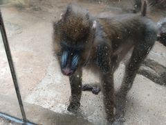 -泉州海丝野生动物世界