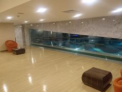 -石家庄万象天成假日酒店