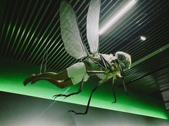 -杭州工艺美术博物馆