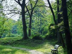 -杭州植物园