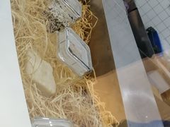 -阮大兴糕团(滨江宝龙店)