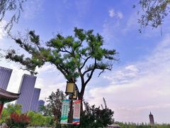 -西海子公园