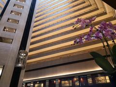 -新加坡文华东方酒店