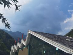 -牛背梁国家森林公园