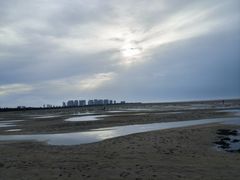 -北海金海湾红树林生态旅游区