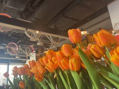 -玛尚诺意式餐厅(官舍店)