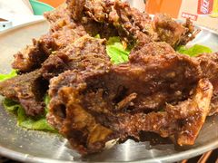 -山野的朋友露营炭火烤肉