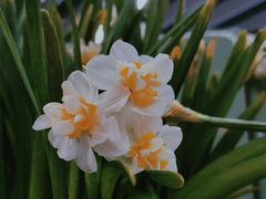 -江西老表·经典江西八大碗