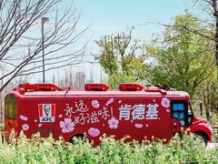 -苏州上方山国家森林公园