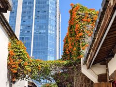 -三坊七巷历史文化街区