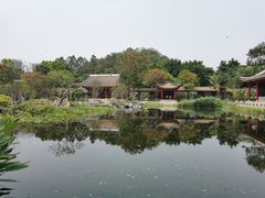 -顺峰山公园