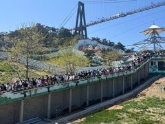 -西霞口神雕山野生动物世界