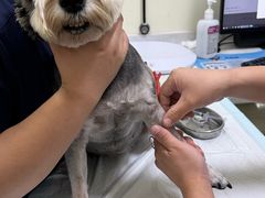 -天宠宠物医院24小时·急重症诊疗中心·全科·腔镜特色(和平分院)