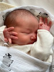 -巍阁高端月子会所