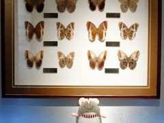 -上海昆虫博物馆