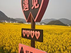 -牛街螺丝田