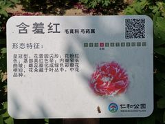 -仁和公园(顺义区)