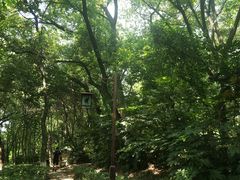 -首义公园-武昌蛇山烈士祠