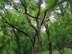 -长春市南湖公园