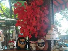 -柴犬高等学院·狗咖·柴犬售卖·宠物训练