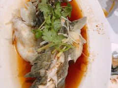 清蒸游水鱼-老家印象京粤馆(Box Hill)