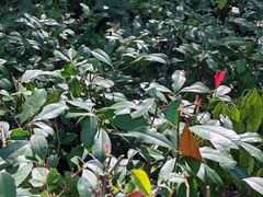 -徐家汇源景区-衡山公园