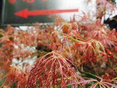 -上海蔡元培故居陈列馆