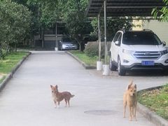 -富隆酒窖(天河北店)