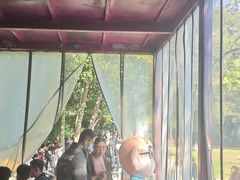 -鸡鸣汤包(红山动物园店)