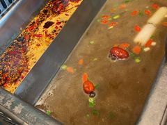 -大隐·成都火锅Bistro(合生麒麟新天地店)