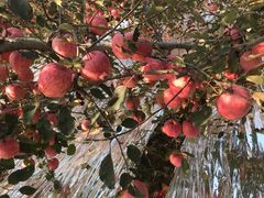 -居然之家(黑龙江南路店)