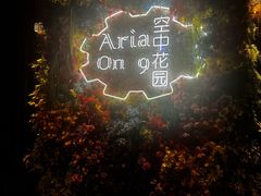 -四季酒店·空中花园 Aria on 9