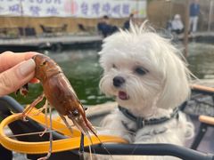 -DGE季风钓虾营地·团建·聚会