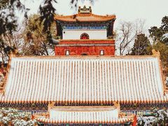 -颐和园
