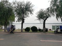 -丁香湖公园