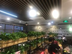 大堂-八合里潮汕鲜牛肉火锅(深圳海岸城店)
