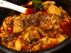 -陈麻婆豆腐总店