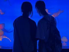 -合肥海洋世界