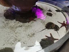 -石家庄海洋公园