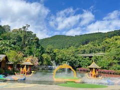 -西双版纳原始森林公园