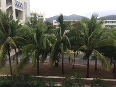 -三亚凤凰机场海航快捷酒店