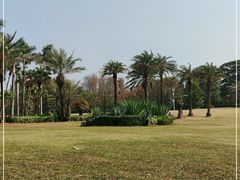 -荔香公园