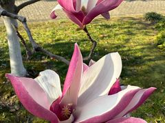 -白塘生态植物园