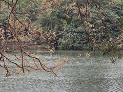 -荔枝公园(福田区)